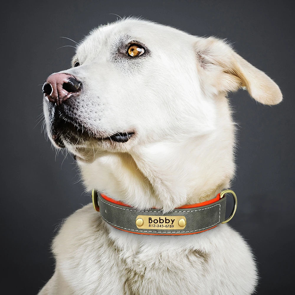 Custom PU Leather Dog Collar – Free Engraving | Adjustable Personalized Pet ID Tag for Small, Medium & Large Dogs