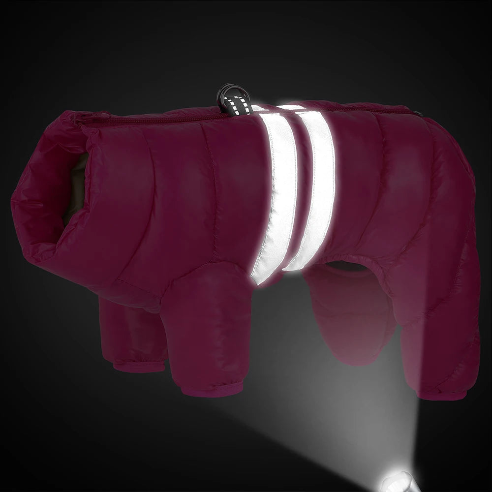 Warm Winter Dog Coat – Waterproof Jacket for Small & Medium Breeds