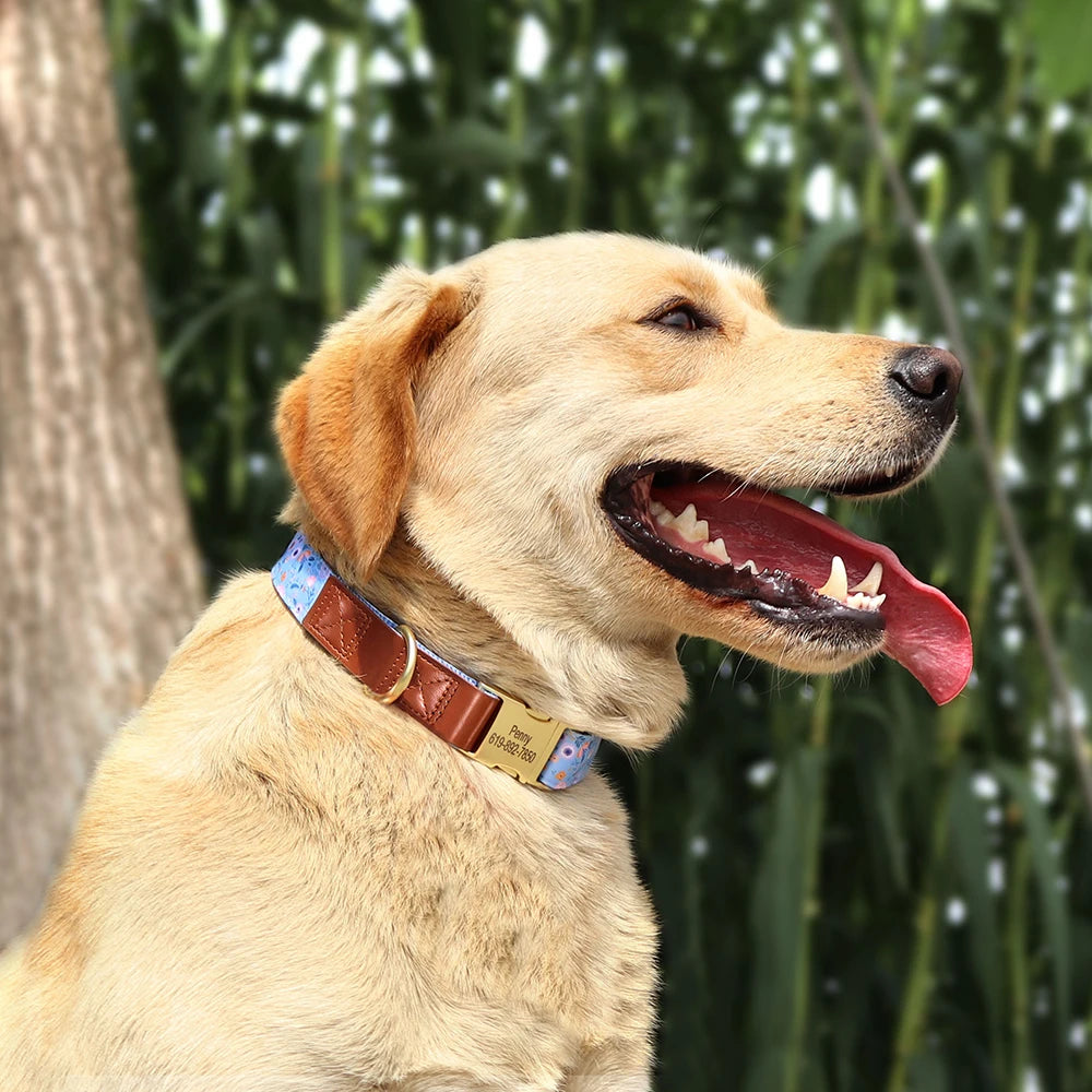 Personalized Dog Collar – Engraved Nylon &amp; PU Leather with Custom ID Tag