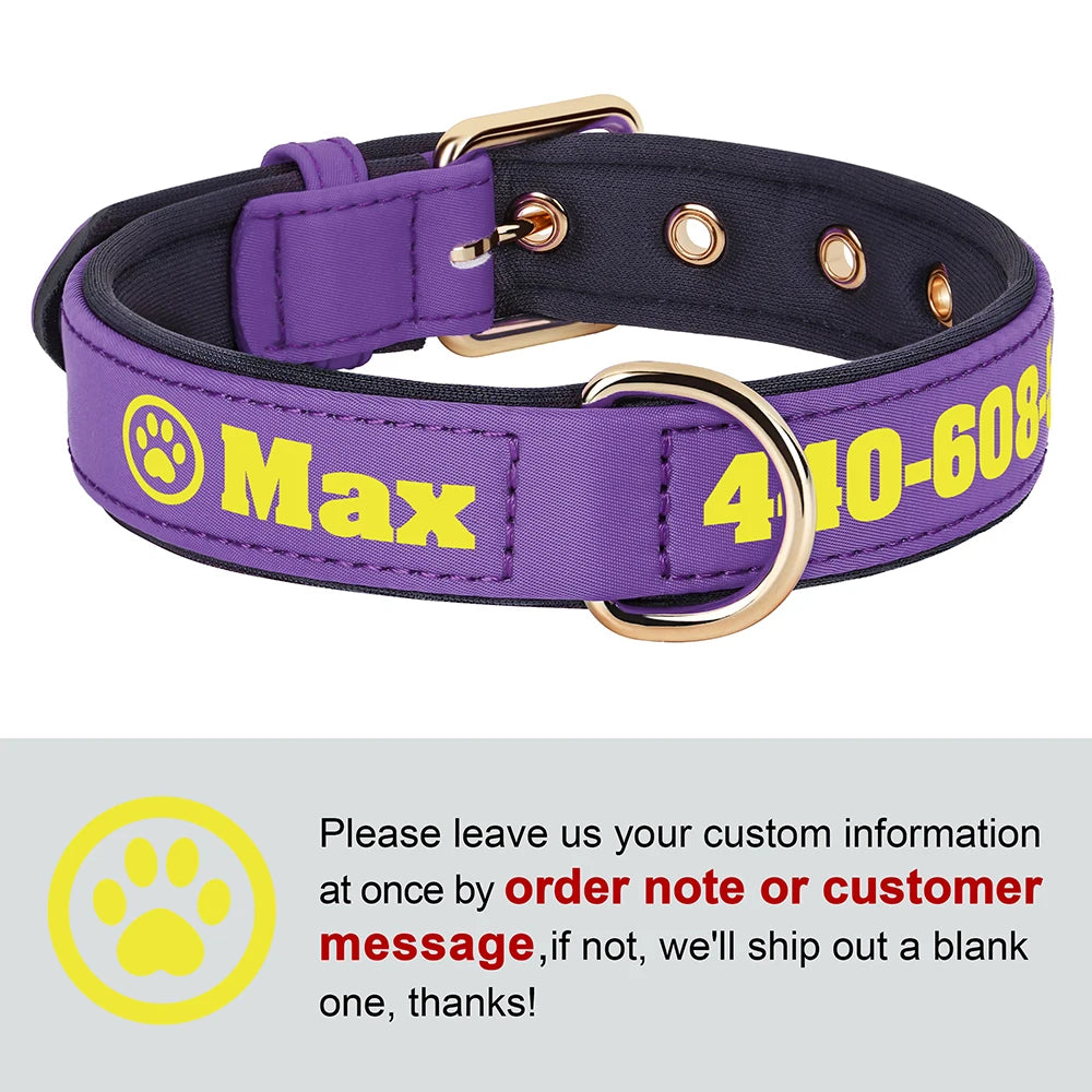Custom Leather Dog Collar – Free Name & Number | Soft Padded & Adjustable