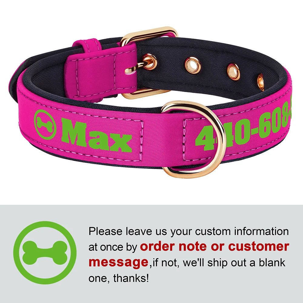 Custom Leather Dog Collar – Free Name & Number | Soft Padded & Adjustable