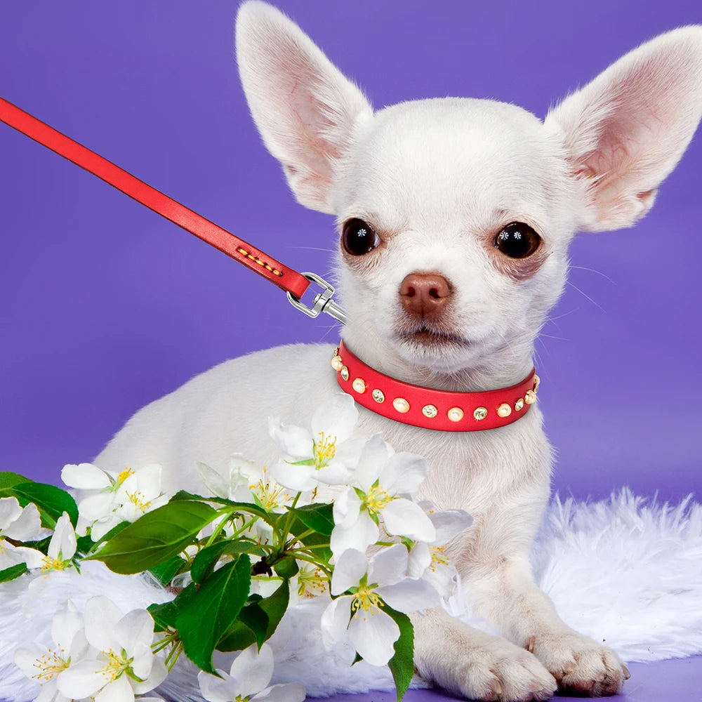 Genuine Leather Bling Collar & Leash Set – For Small & Medium Pets