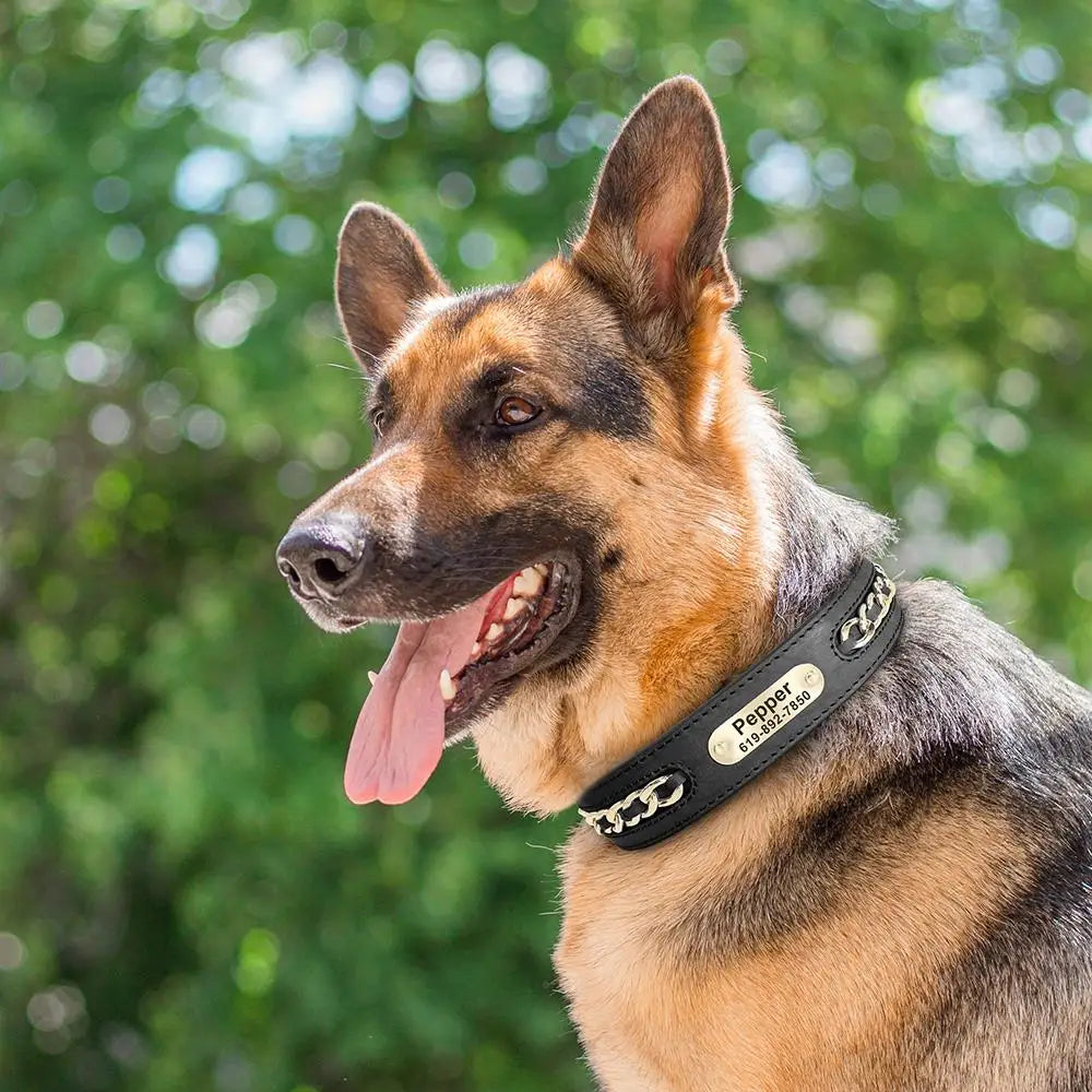 Personalized Leather Dog Collar – Custom Engraved Nameplate ID Tag for Small, Medium & Large Dogs