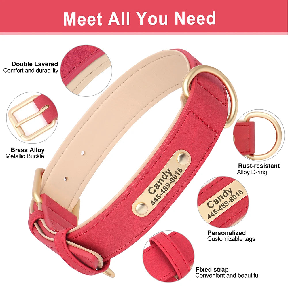 Custom Leather Dog Collar – Personalized with Free Engraving | XS–XXL Sizes