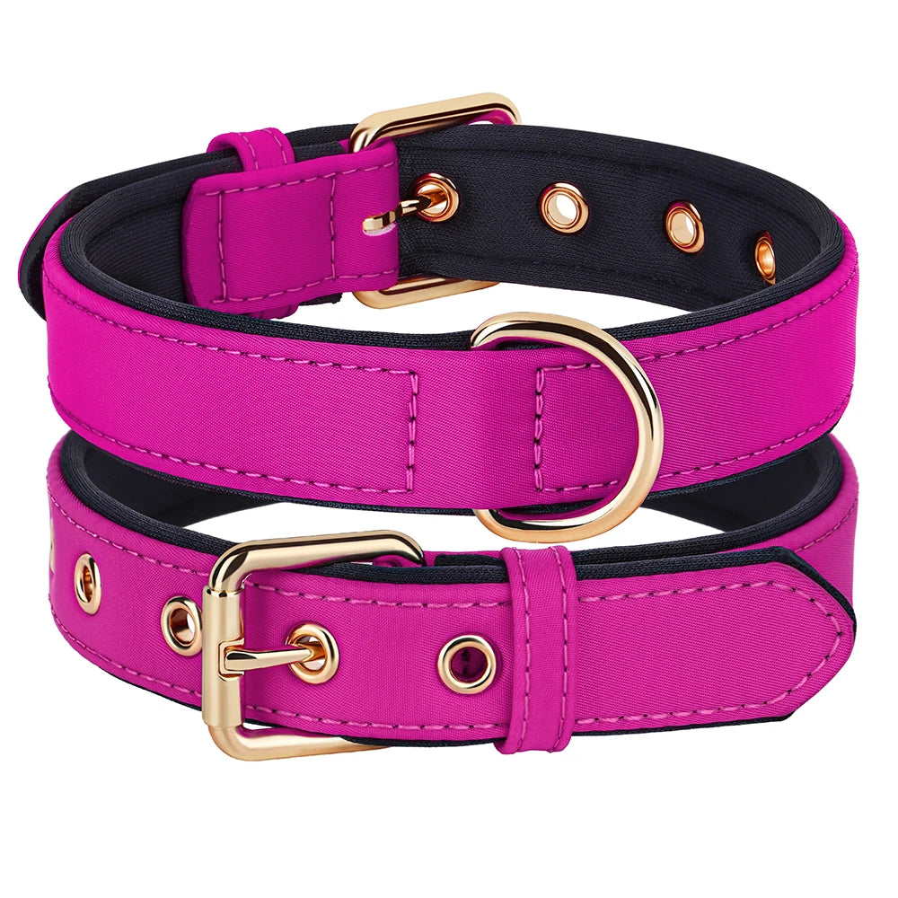 Waterproof Nylon Dog Collar – Soft Padded & Breathable Adjustable Collar for Small & Medium Dogs