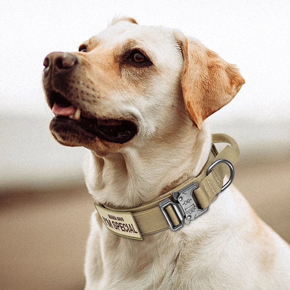 Tactical Dog Collar With Handle Nylon Military Dog Collar Adjustable Pet Training Collars For Medium Large Dogs German Shepherd