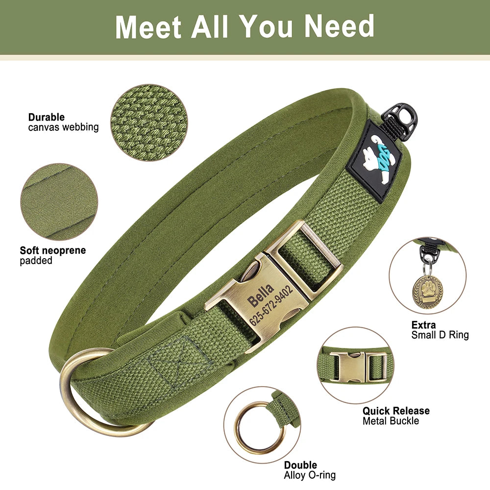 Personalized Nylon Dog Collar – Adjustable Soft Padded Pet ID Collar for Small, Medium & Large Dogs