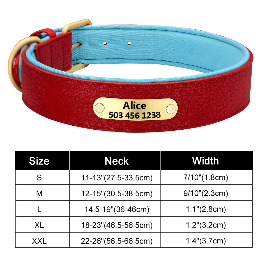 Custom Dog Collar – Personalized ID Tag Collar for Small, Medium, and Large Dogs