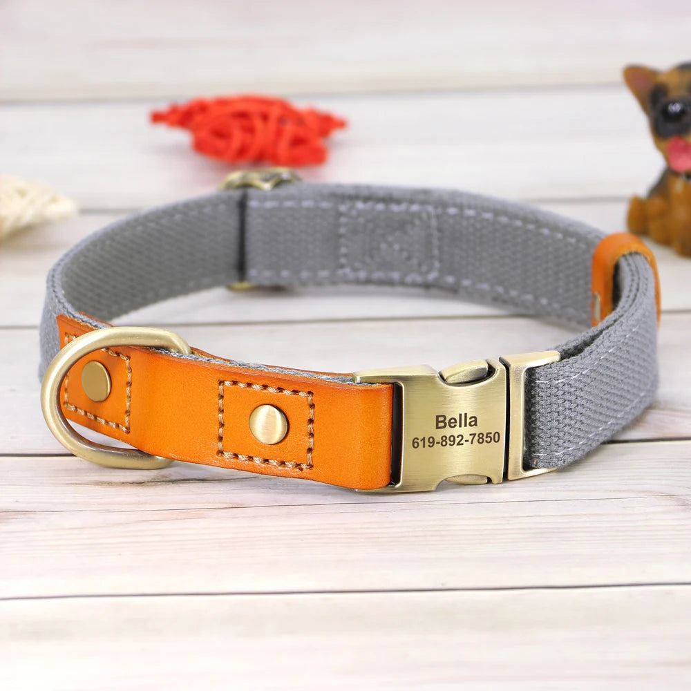 Nylon Custom Dog Collar & Leash Set – Personalized with Leather Nameplate