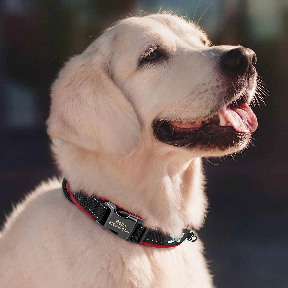Adjustable Dog Collar - Personalized Reflective Padded Collar with Free Engraved ID Tag for Small, Medium & Large Dogs (Pitbull, Pug & More)