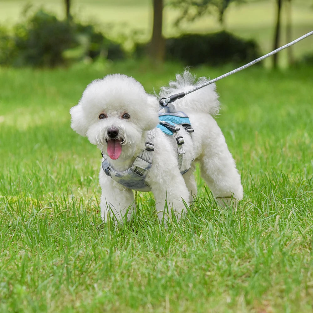 Summer Ice Cooling Dog Harness Vest Reflective Pet Harness Clothes for Small Medium Large Dogs Outdoor Pet Cool Down Jackets