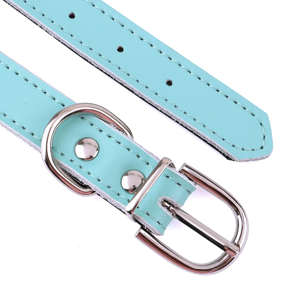 Custom Engraved Dog Collar – Personalized Puppy & Cat Collar with Nameplate – Adjustable for Small to Medium Dogs & Cats – Chihuahua, Pug, Yorkie