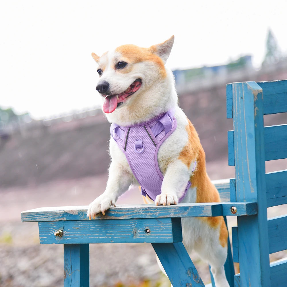 No Pull Nylon Mesh Dog Harness Breathable Pet Harnesses Vest For Medium Large Dogs Reflective Dog Chest Strap French Bulldog