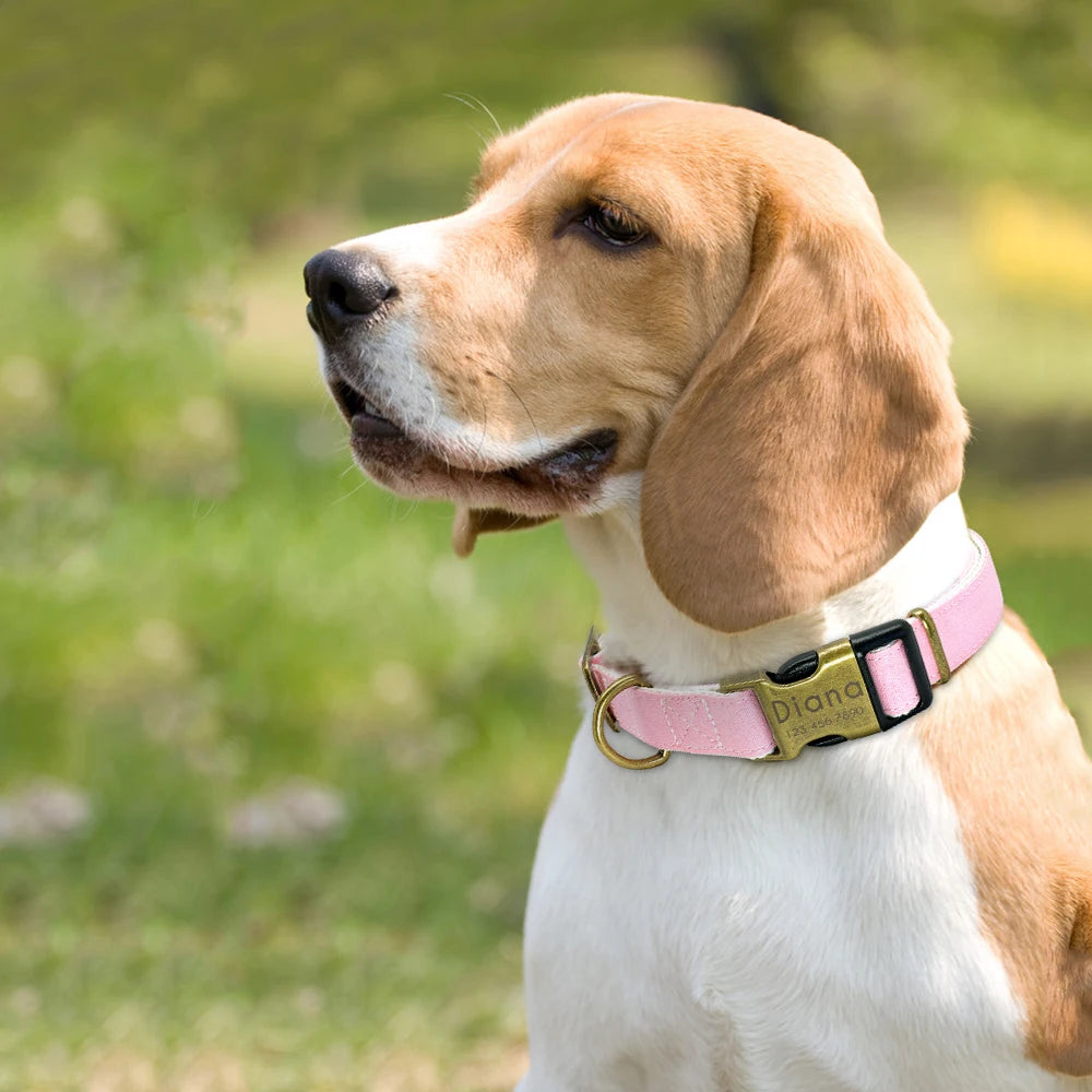Adjustable Personalized Dog Collar – Custom Engraved Nylon Pet ID Collar | For Small, Medium & Large Dogs