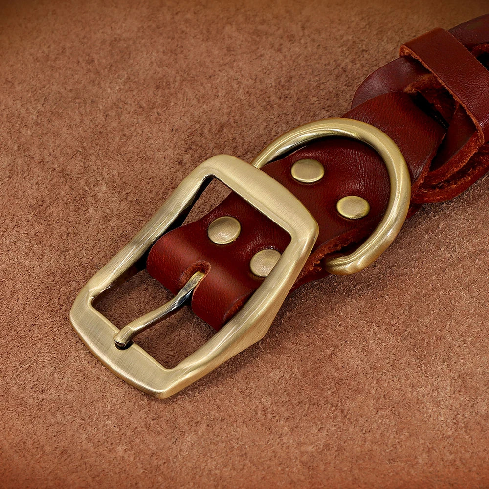 Custom Engraved Leather Dog Collar – Personalized Nameplate for Medium & Large Dogs