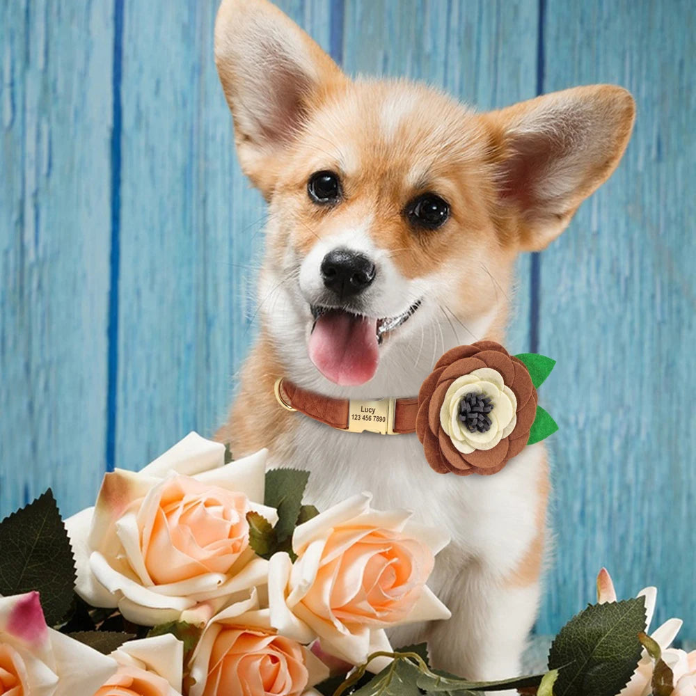 Personalized Floral Dog Collar – Custom Engraved Buckle with Cute Flower Accessory for Dogs & Cats