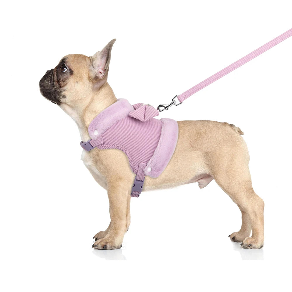Soft Warm Dog Harness & Leash Set with Bowknot – Cute Vest Outfit for Small & Medium Dogs & Cats