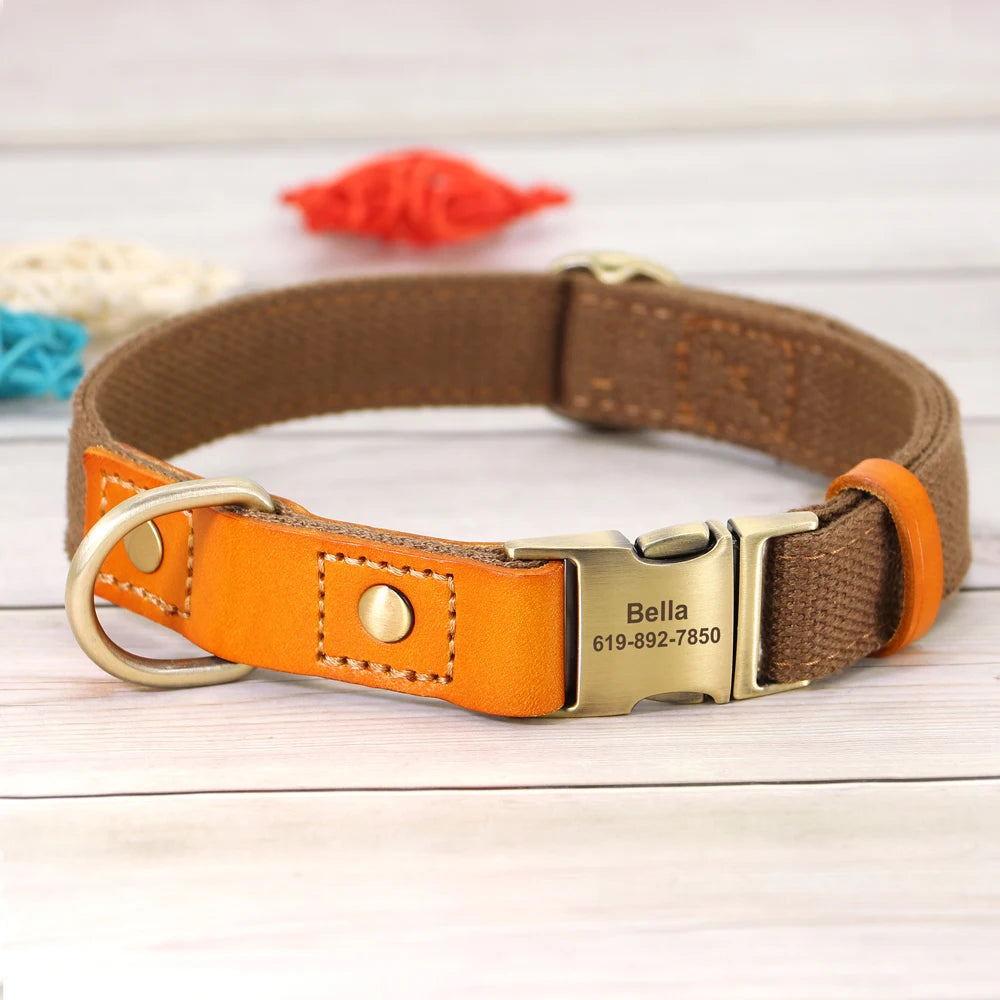 Nylon Custom Dog Collar & Leash Set – Personalized with Leather Nameplate