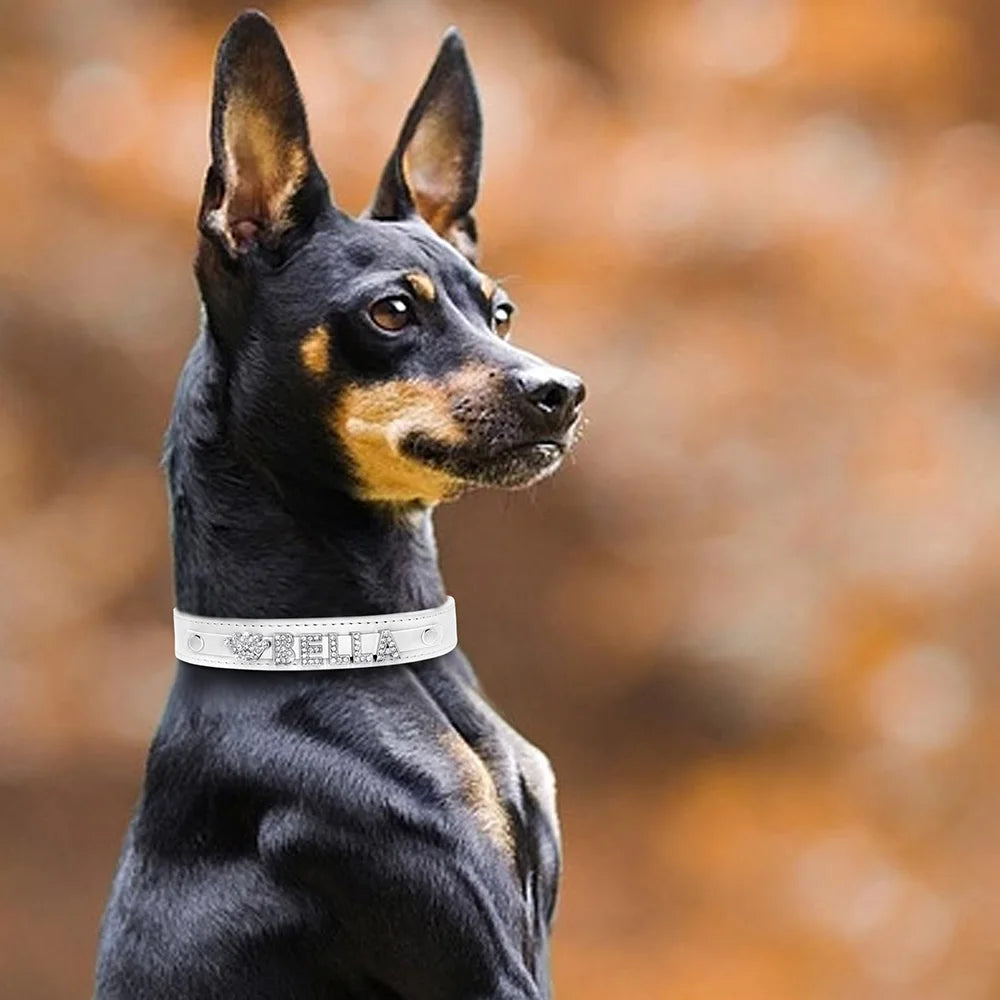 ✨ Personalized Bling Rhinestone Dog Collar – For Small Dogs & Cats ✨