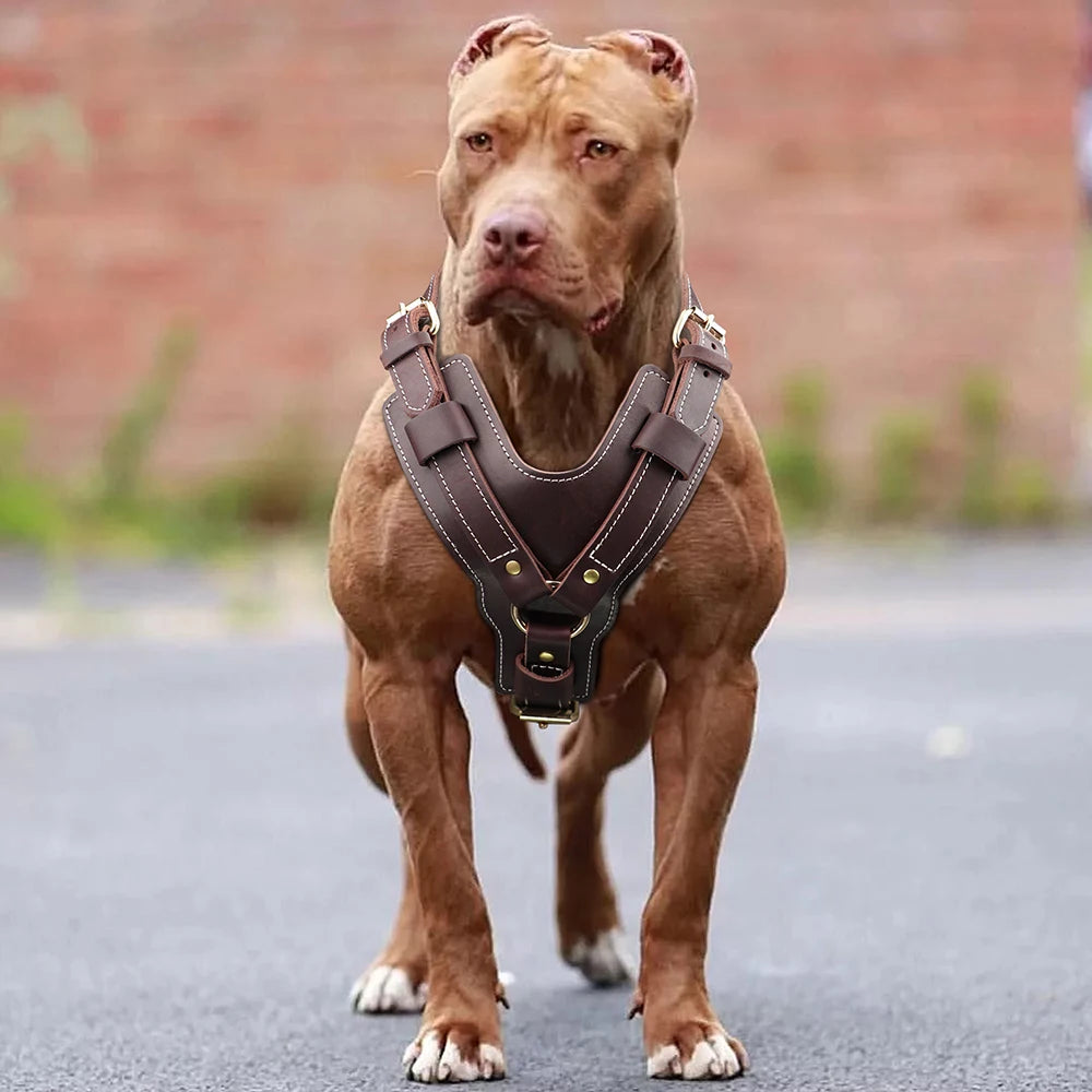 Durable Large Dog Harness Genuine Leather Dog Vest Harnesses Adjustable Quick Control With Handle Pet Supplies For Labrador