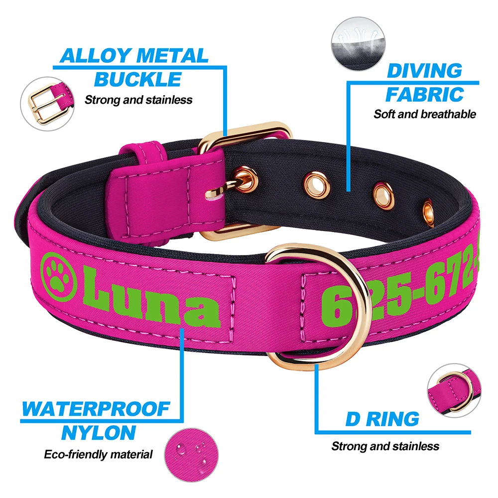 Custom Leather Dog Collar – Free Name & Number | Soft Padded & Adjustable