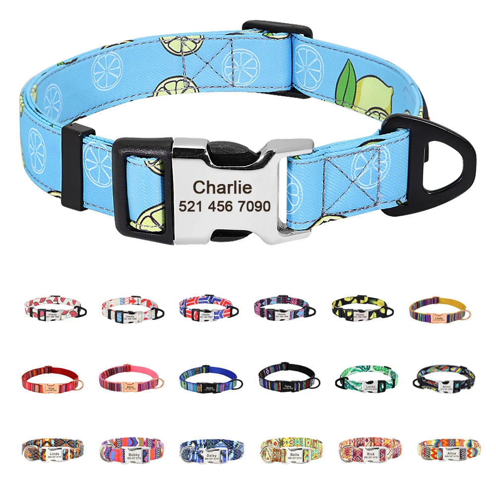 Personalized Nylon Dog Collar with Engraved Nameplate – Custom ID Tag for Small, Medium & Large Dogs
