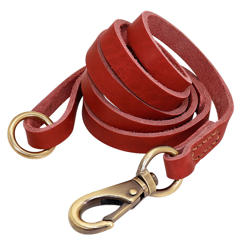 🦴 Custom Leather Dog Collar & Leash Set — Personalized for Safety & Style 🐾
