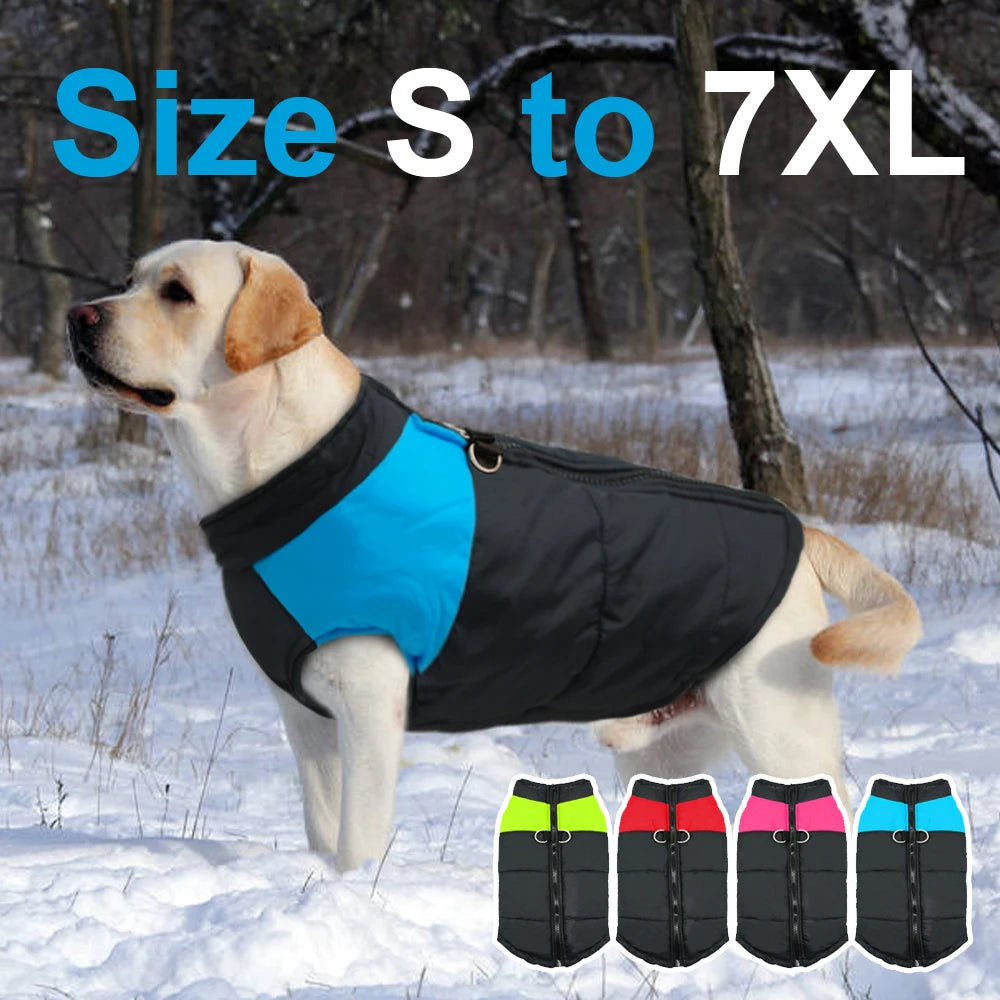 Waterproof Dog Coat with Hood – Warm Winter Jacket for Small, Medium & Large Dogs