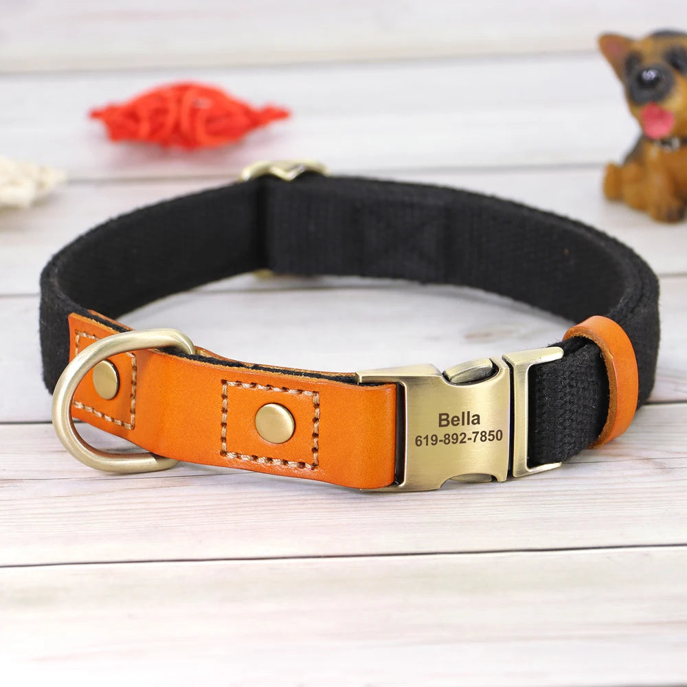 Nylon Custom Dog Collar & Leash Set – Personalized with Leather Nameplate