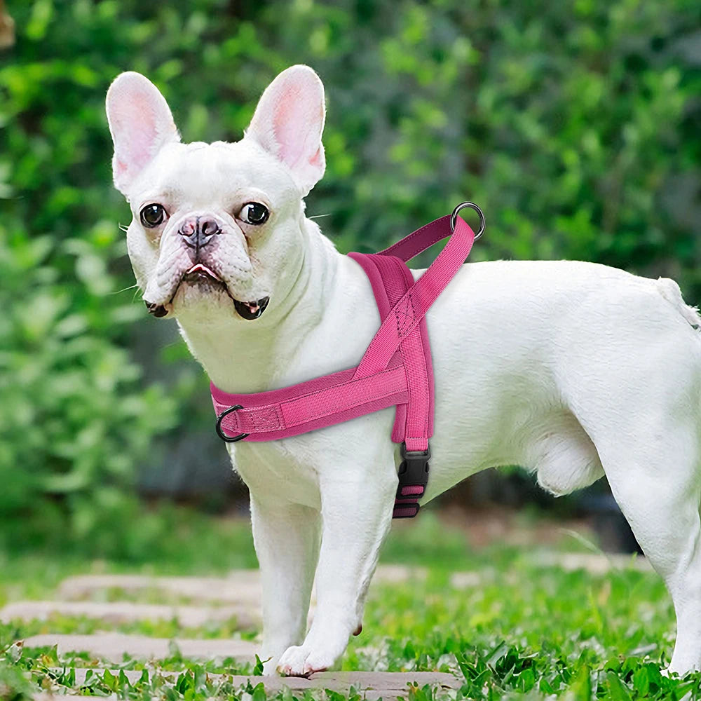 Nylon Padded Dog Harness Vest – Adjustable No Pull Soft Pet Harness for Small & Medium Dogs (French Bulldog, Chihuahua, Puppy, Cat Vest)