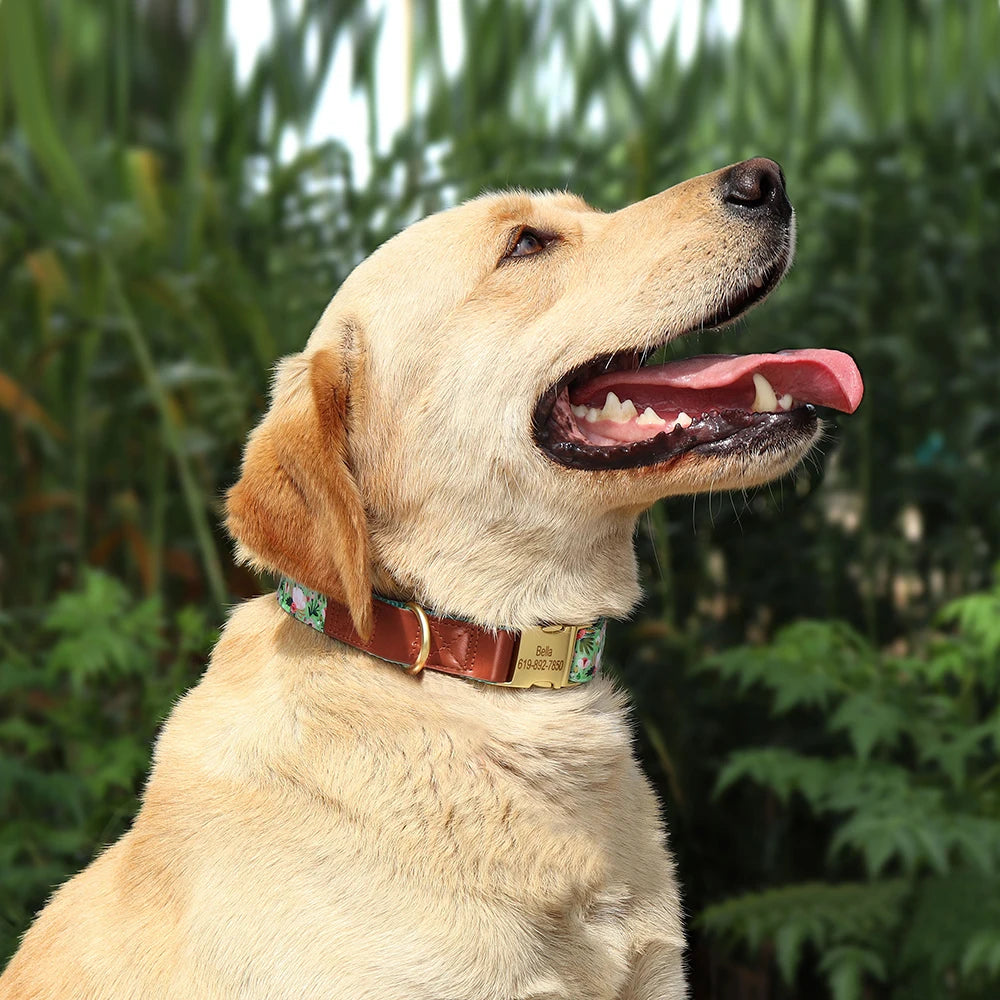 Personalized Dog Collar – Engraved Nylon &amp; PU Leather with Custom ID Tag