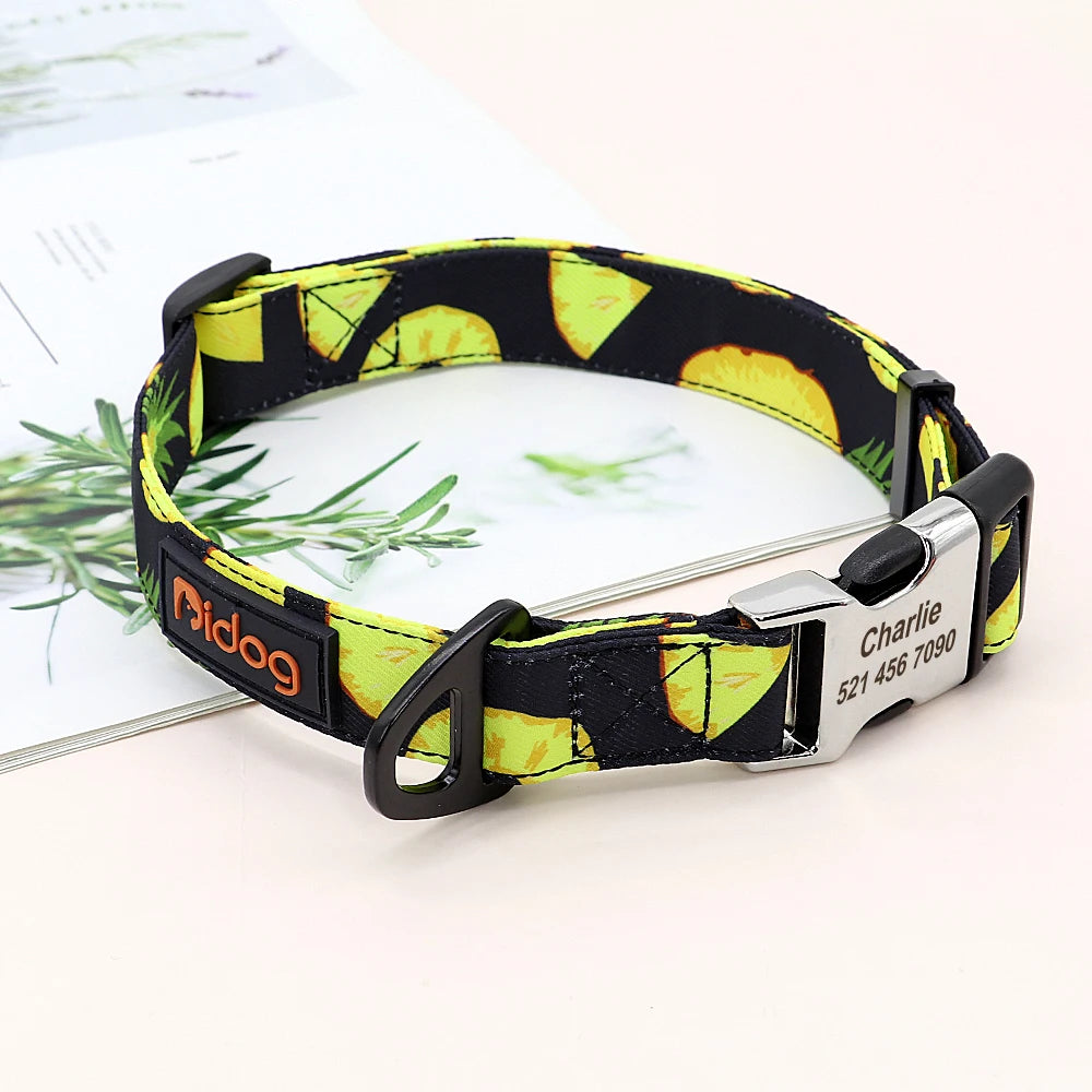 Personalized Nylon Dog Collar with Engraved Nameplate – Custom ID Tag for Small, Medium & Large Dogs