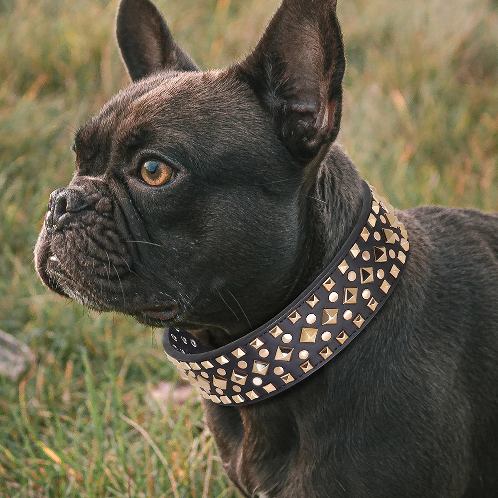 Luxurious Leather Spiked Dog Collar – Adjustable for Medium & Large Dogs