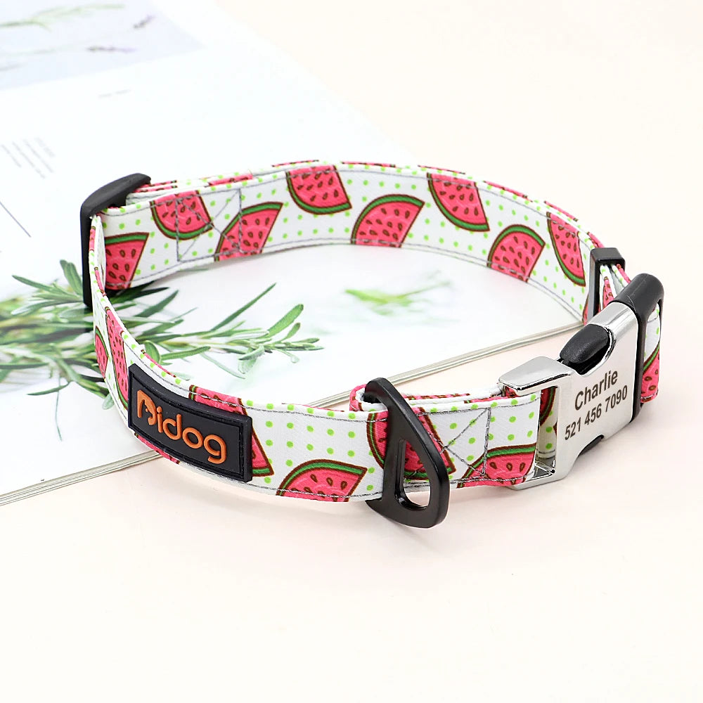 Personalized Nylon Dog Collar with Engraved Nameplate – Custom ID Tag for Small, Medium & Large Dogs