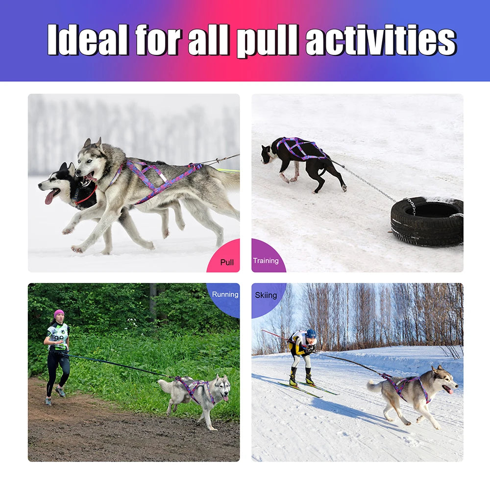 Big Dog Sledding Harness – Reflective X-Back Weight Pulling Harness for Medium & Large Dogs (Husky, Canicross, Skijoring, Bikejoring, Scootering)
