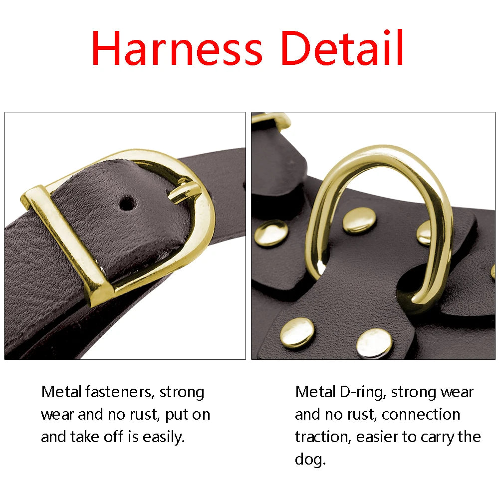 Genuine Leather Dog Harness Vest & Leash Set – Adjustable Pet Harness for Small & Medium Dogs (Pug, Beagle, Bulldog, Brown)