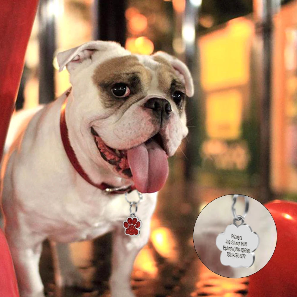 Personalized Dog & Cat ID Tag – Engraved Stainless Steel Pet Name & Address Tag