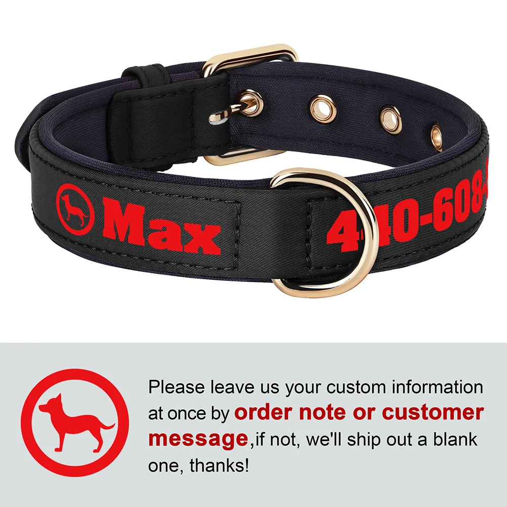 Custom Leather Dog Collar – Free Name & Number | Soft Padded & Adjustable