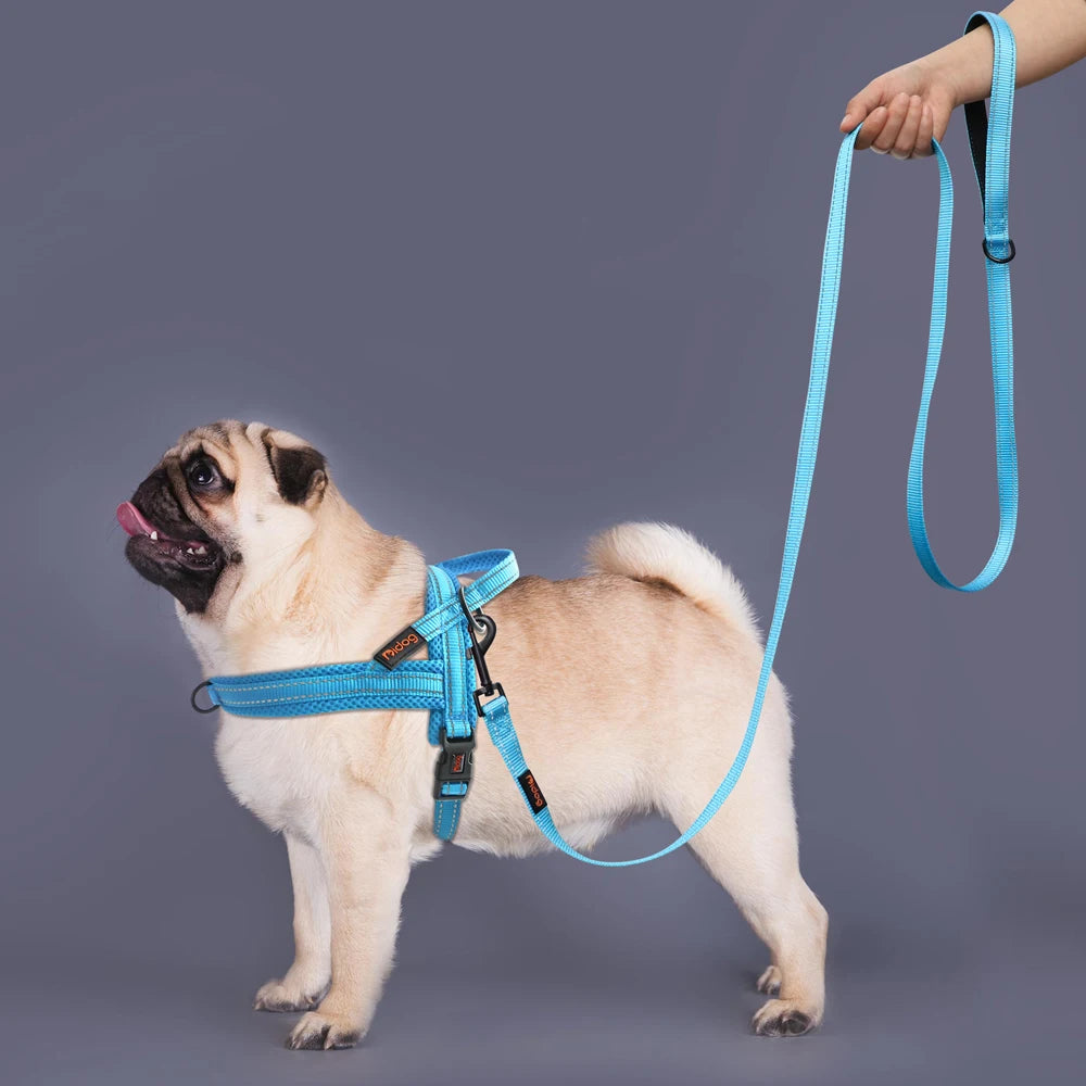 Nylon Reflective Dog Leash – Soft &amp; Durable Pet Lead