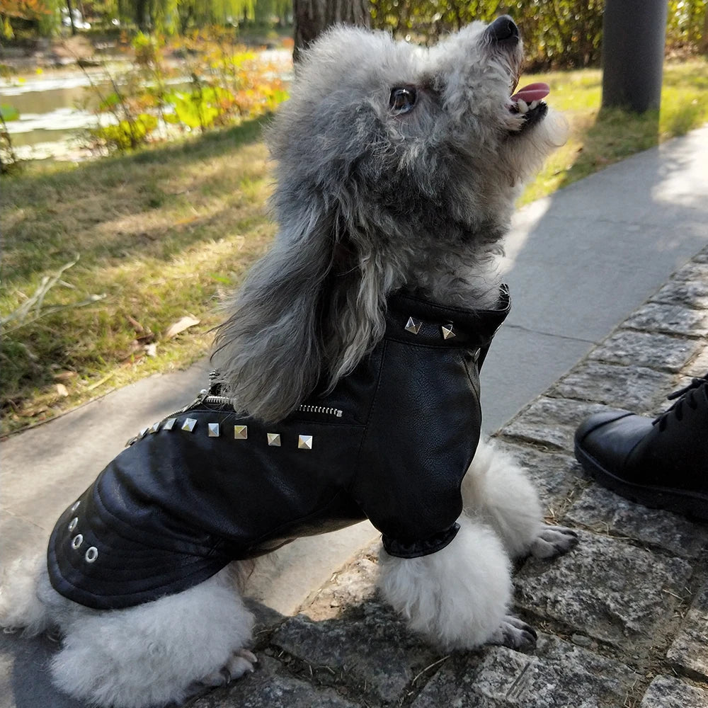 Cool Dog Jacket – Rocker Style Leather Coat for Small & Medium Dogs