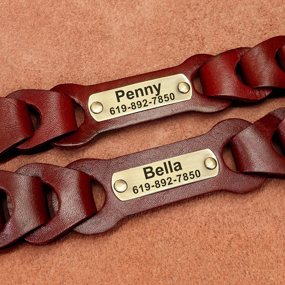 Custom Engraved Leather Dog Collar – Personalized Nameplate for Medium & Large Dogs