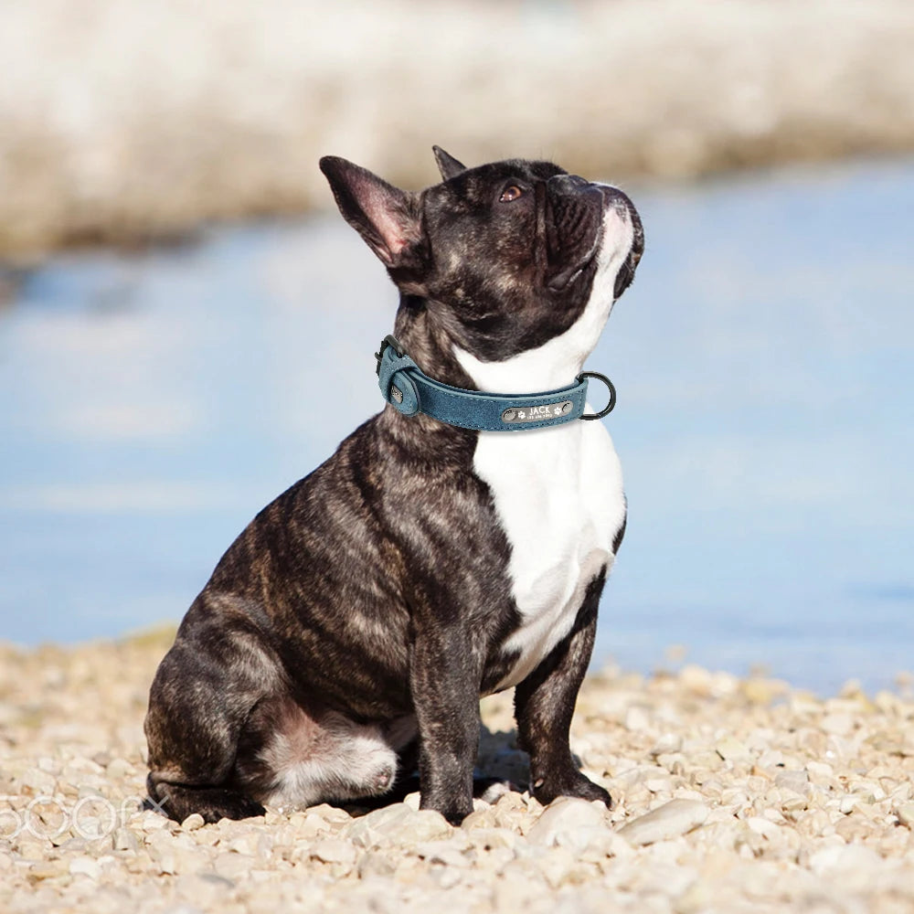 Custom Leather Dog Collar – Personalized with Free Engraving | XS–XXL Sizes