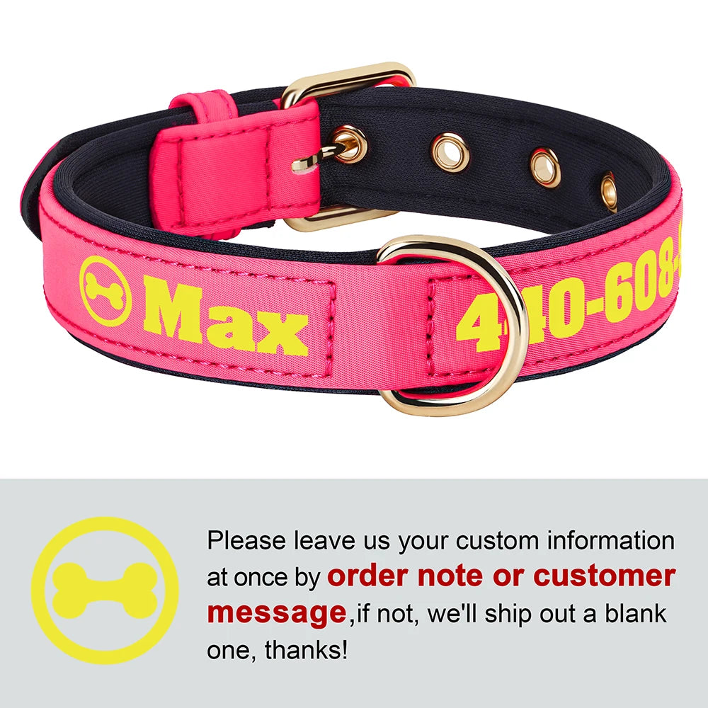Custom Leather Dog Collar – Free Name & Number | Soft Padded & Adjustable