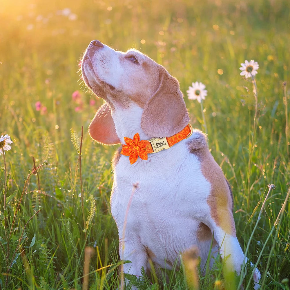 Personalized Dog Collar with Flower Print – Custom Engraved Nameplate | Adjustable Nylon Pet Collar for Small, Medium & Large Dogs