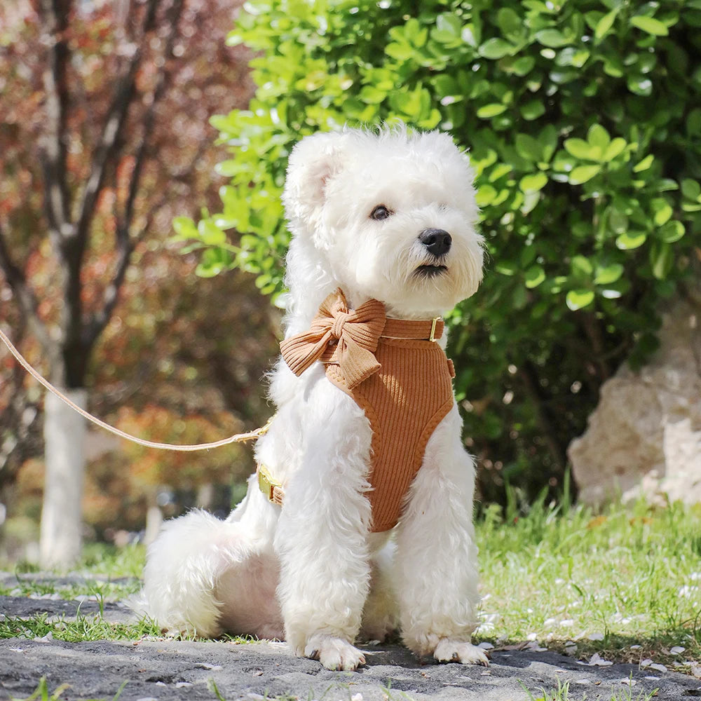 3pcs/lot Dog Collar Harness and Leash Set – Cute Bowtie Design for Small & Medium Dogs