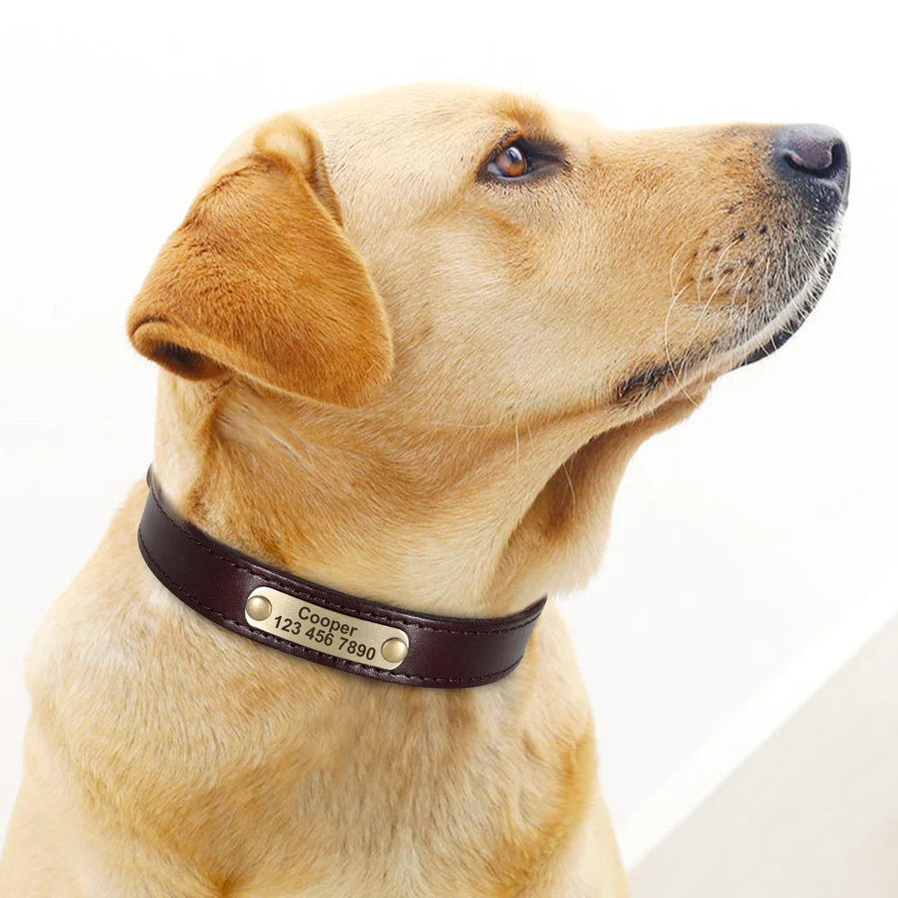 Custom Dog Collar – Personalized ID Tag Collar for Small, Medium, and Large Dogs
