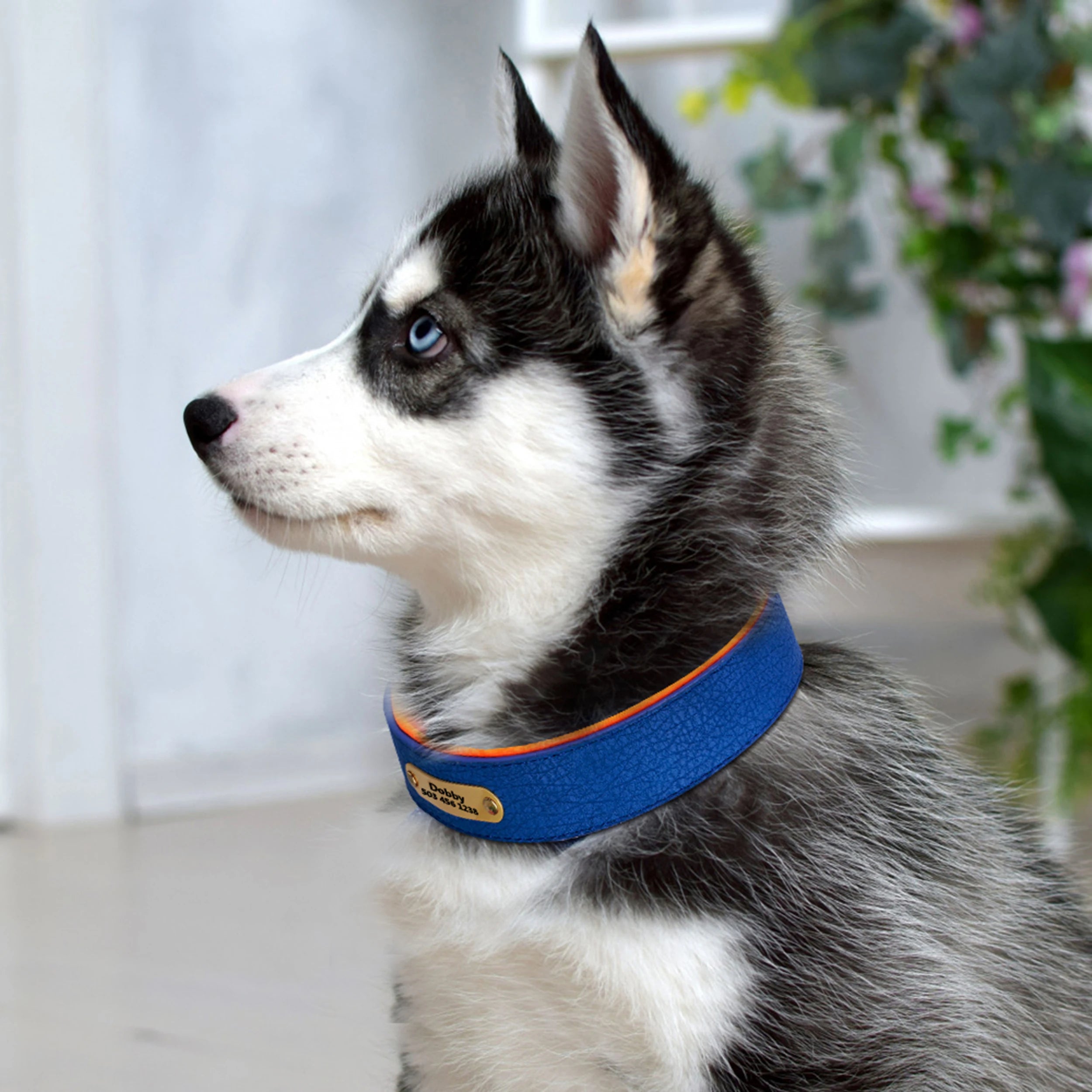 Custom Dog Collar – Personalized ID Tag Collar for Small, Medium, and Large Dogs