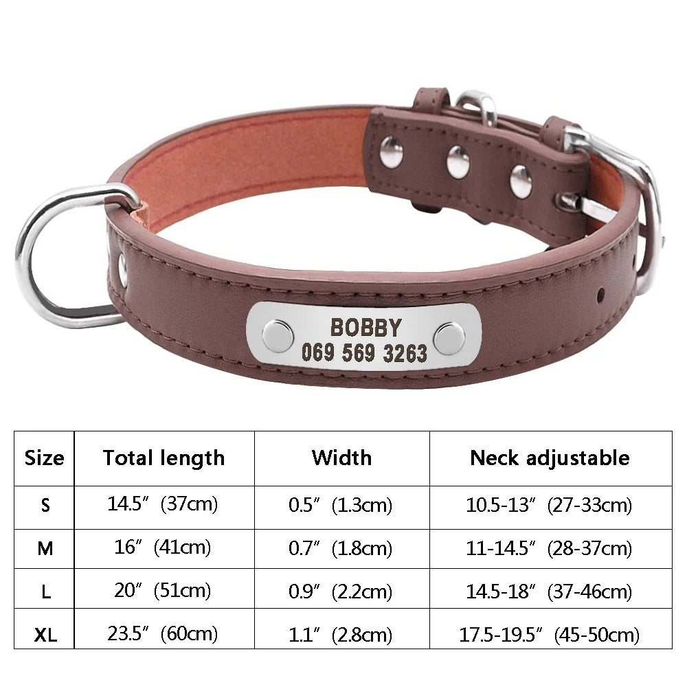 Custom Dog Collar – Personalized ID Tag Collar for Small, Medium, and Large Dogs