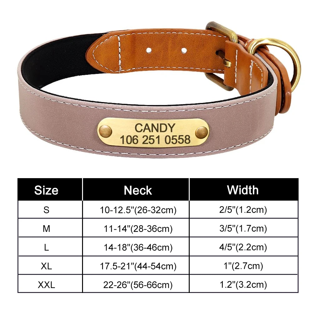 Custom Dog Collar – Personalized ID Tag Collar for Small, Medium, and Large Dogs