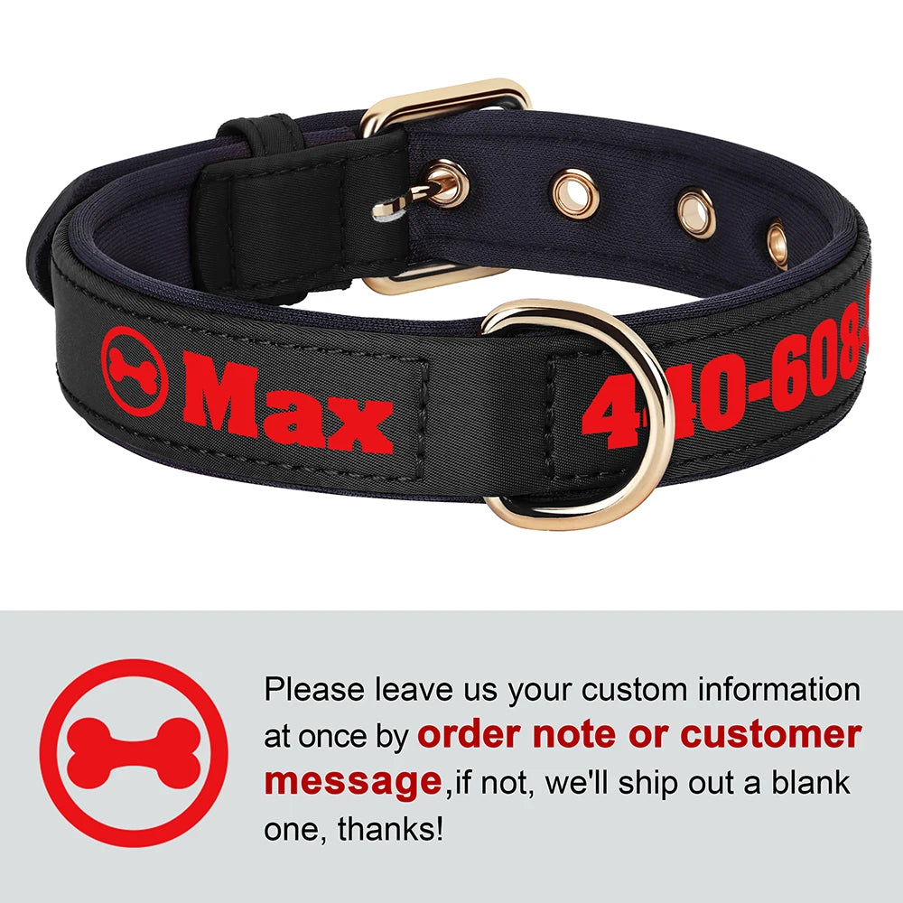 Custom Leather Dog Collar – Free Name & Number | Soft Padded & Adjustable